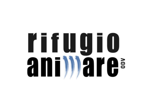 Progetti 2023: ANIMARE Onlus